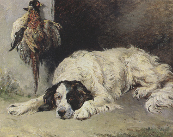 An English Setter at the end of the Day (mk37)